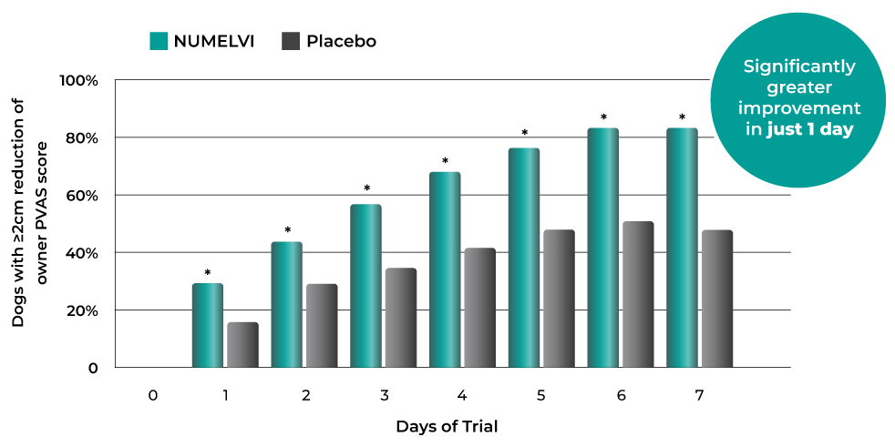 Clinically relevant reduction in itch in >81% of dogs within 1 week