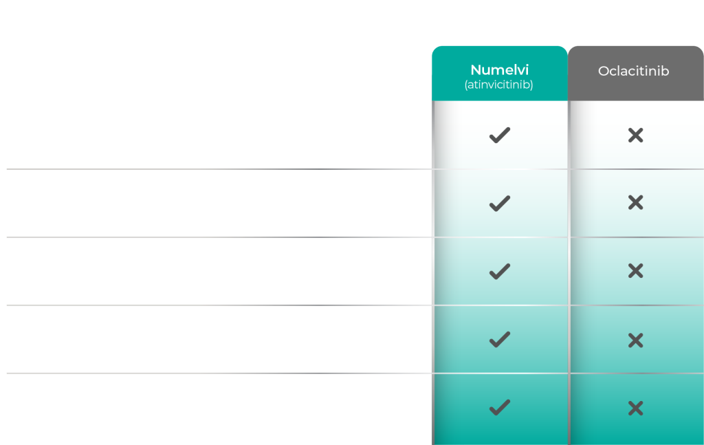 Compare Numelvi With the Competition