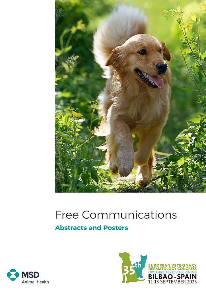 Numelvi Symposium 2025